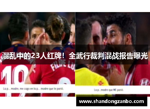 混乱中的23人红牌！全武行裁判混战报告曝光